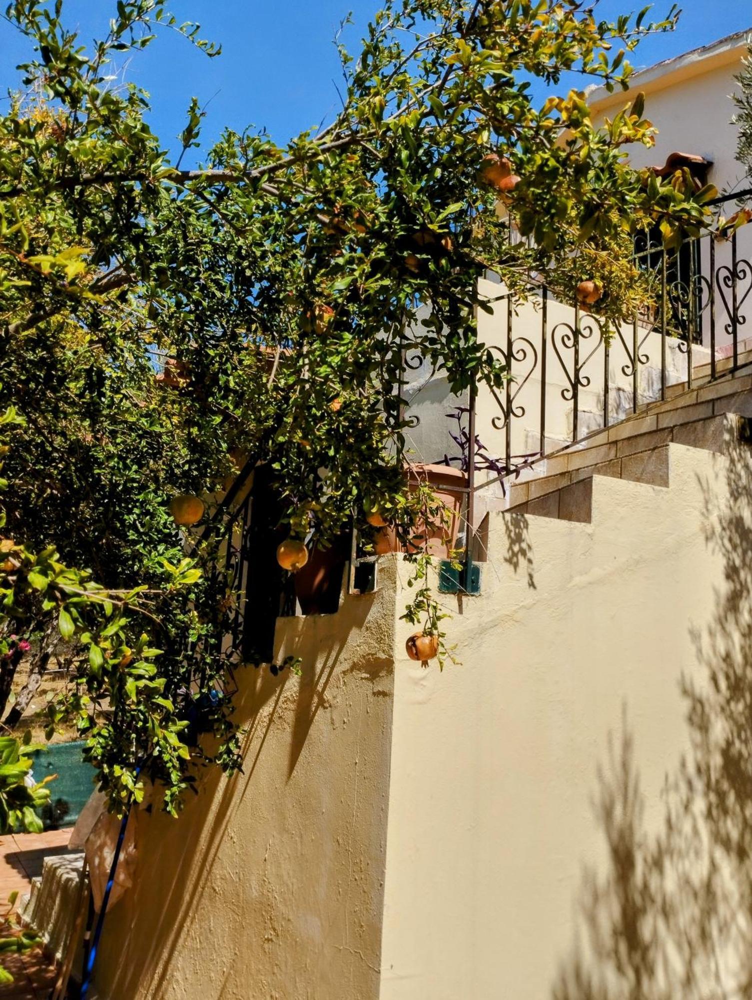 Ktima Tzamika Appartement Episkopi-Chania Buitenkant foto