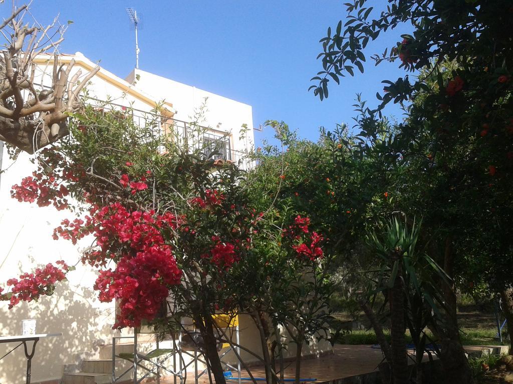Ktima Tzamika Appartement Episkopi-Chania Buitenkant foto