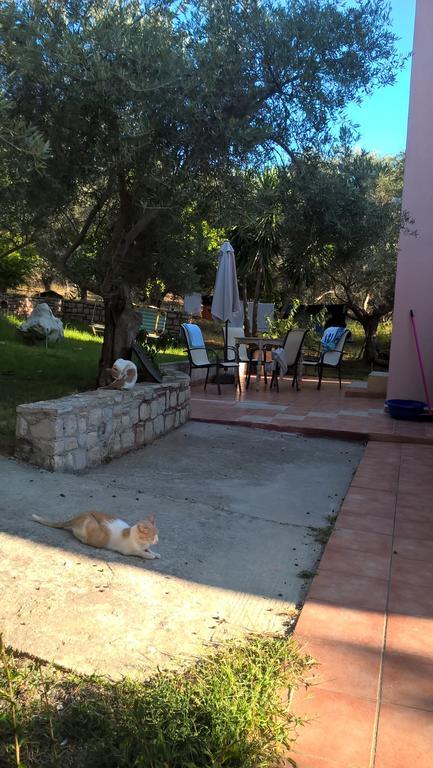 Ktima Tzamika Appartement Episkopi-Chania Buitenkant foto