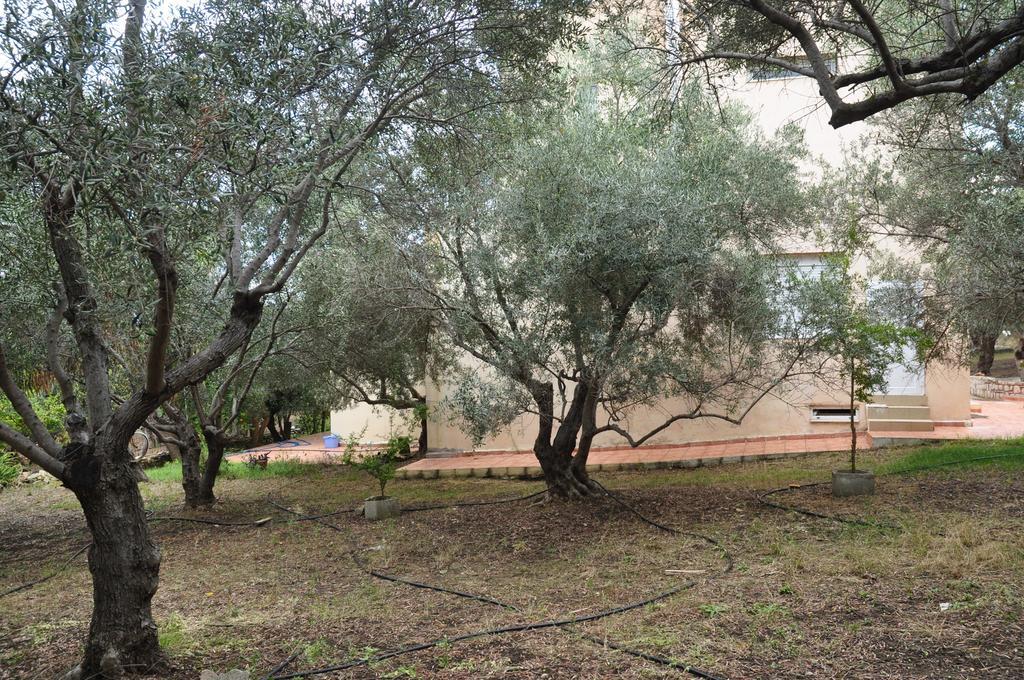 Ktima Tzamika Appartement Episkopi-Chania Buitenkant foto
