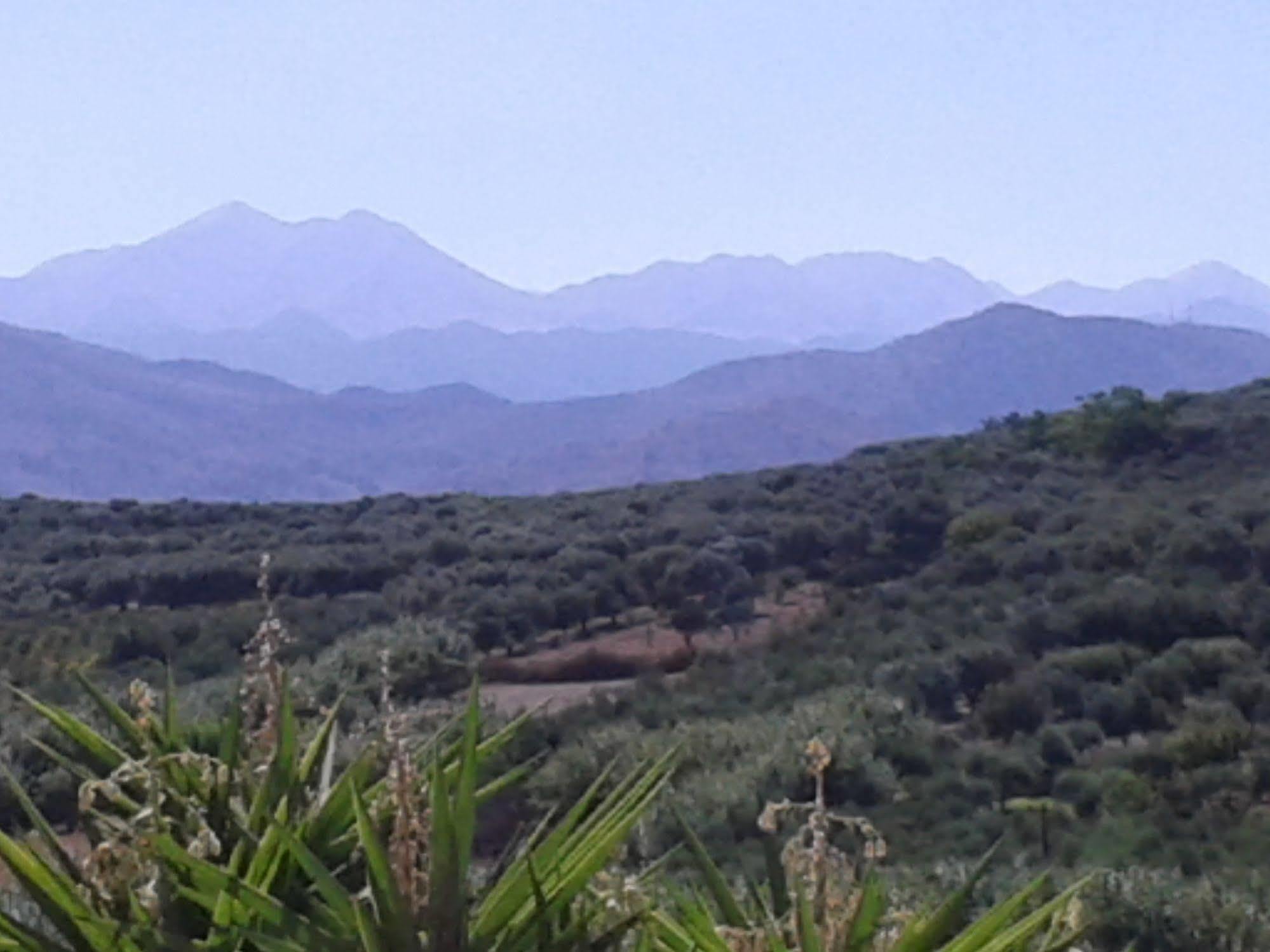 Ktima Tzamika Appartement Episkopi-Chania Buitenkant foto