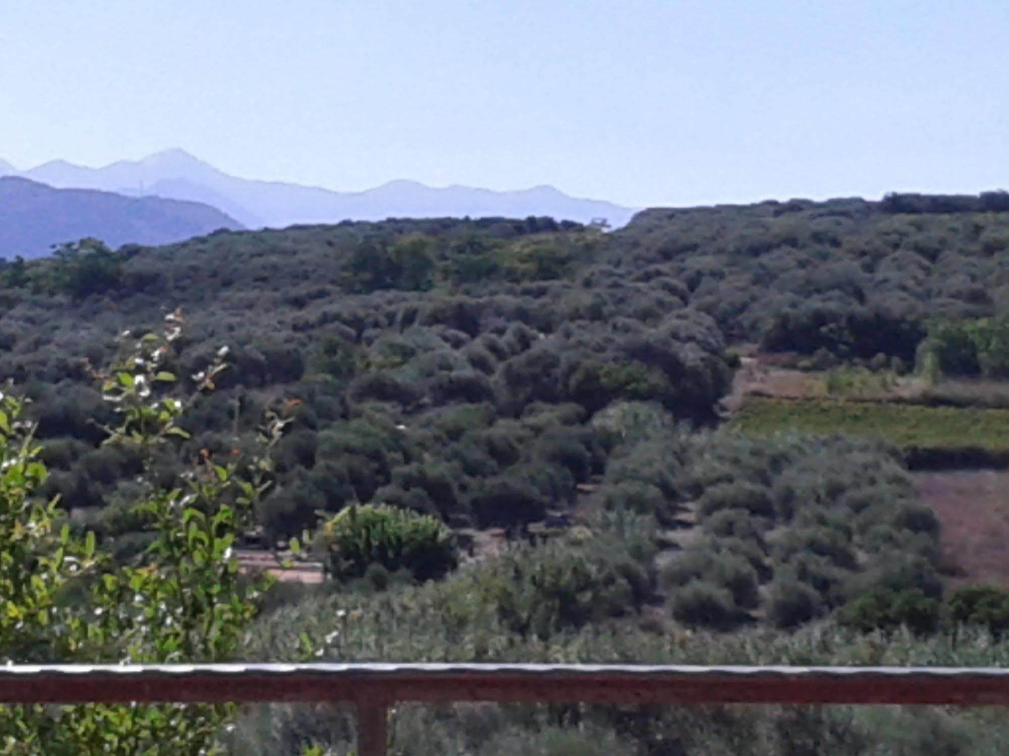 Ktima Tzamika Appartement Episkopi-Chania Buitenkant foto