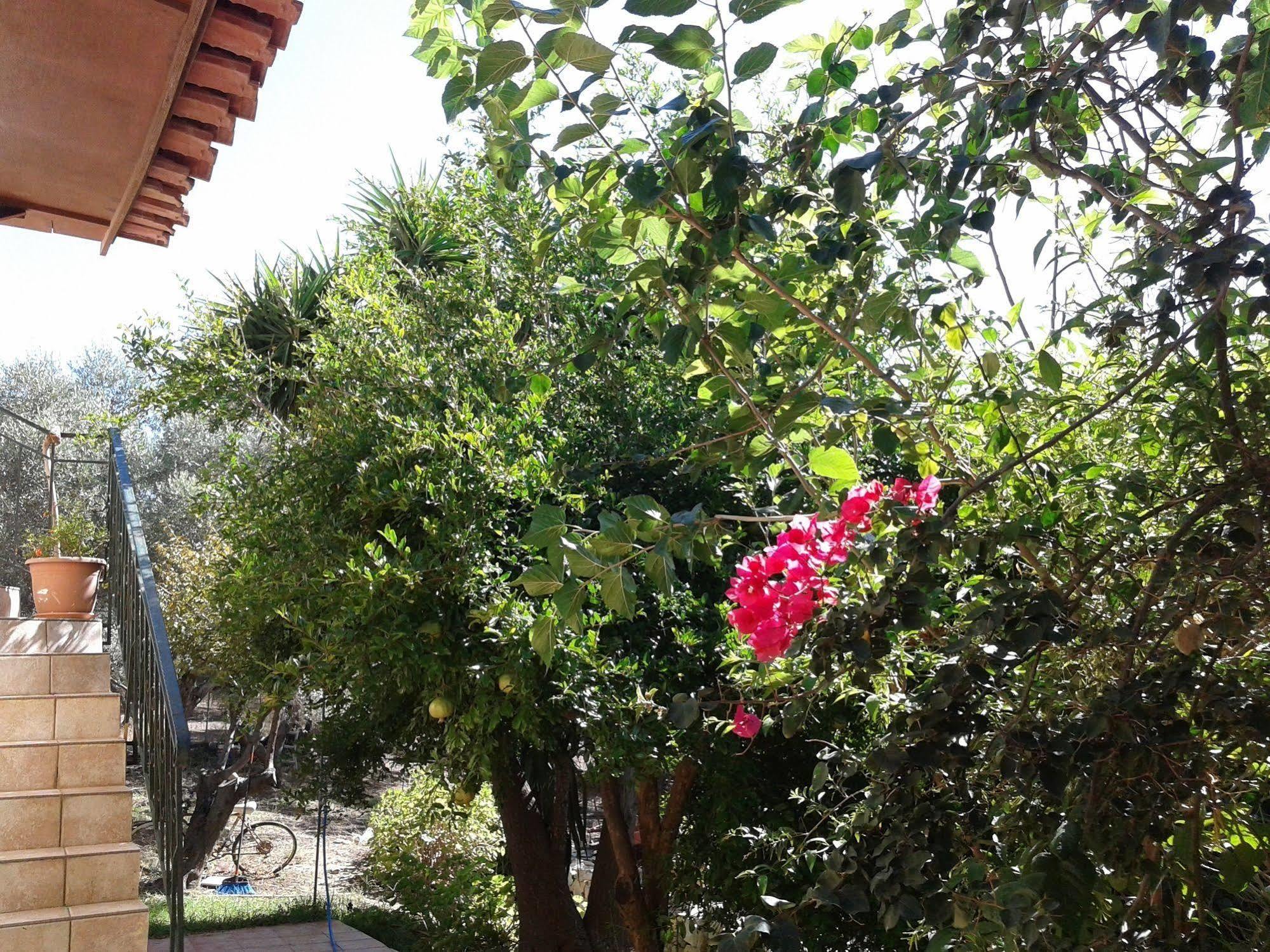 Ktima Tzamika Appartement Episkopi-Chania Buitenkant foto