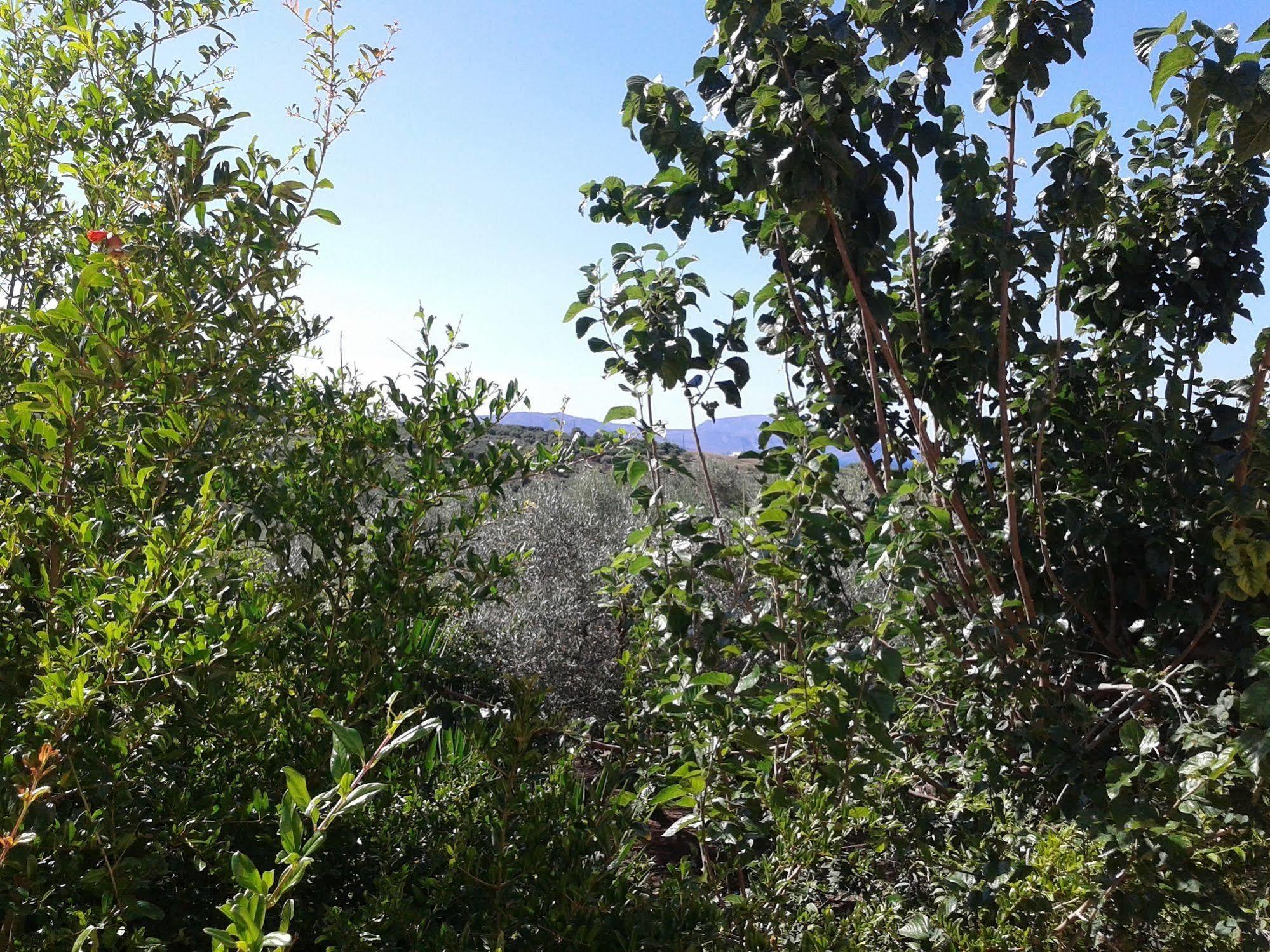 Ktima Tzamika Appartement Episkopi-Chania Buitenkant foto