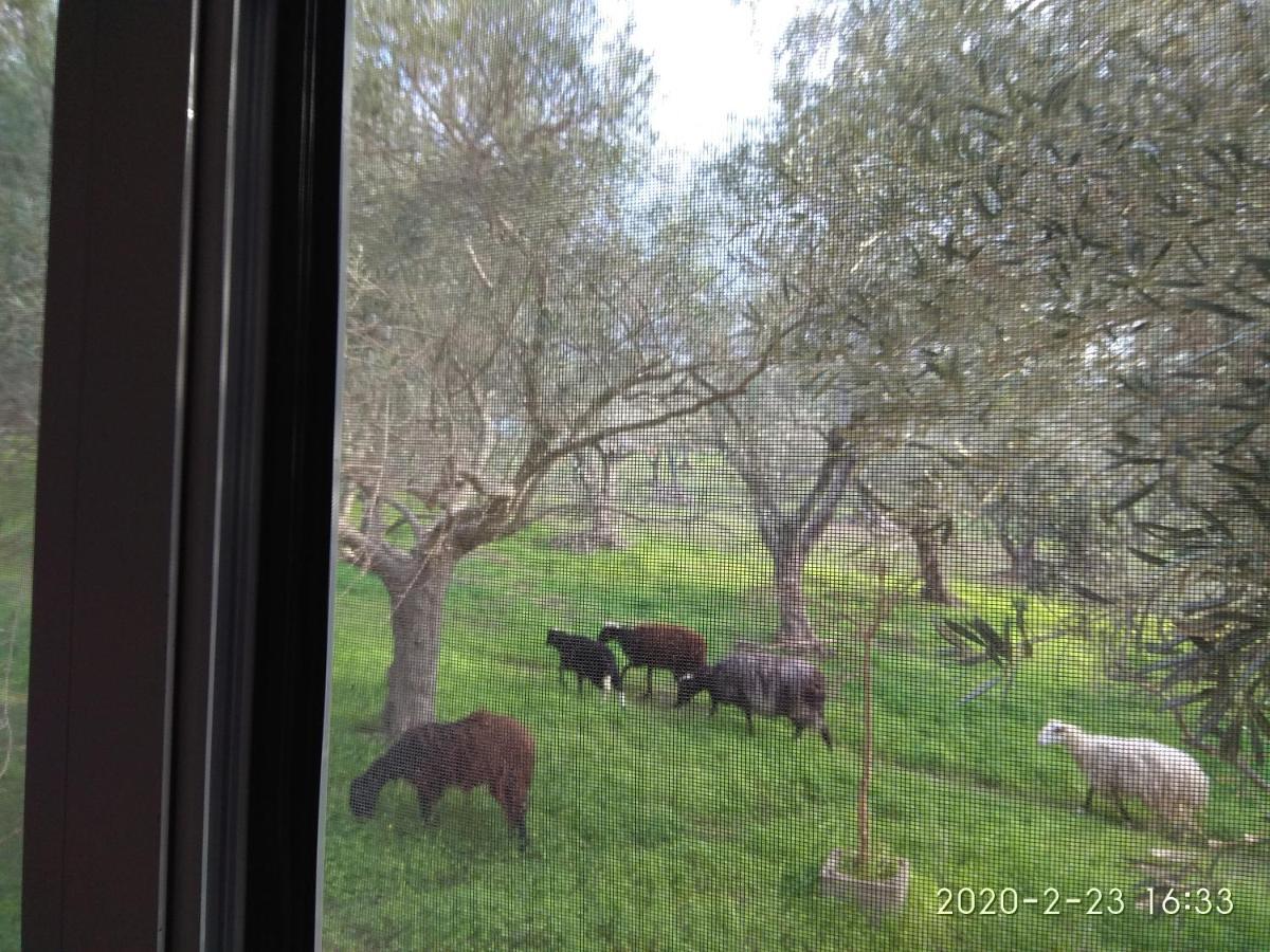 Ktima Tzamika Appartement Episkopi-Chania Buitenkant foto